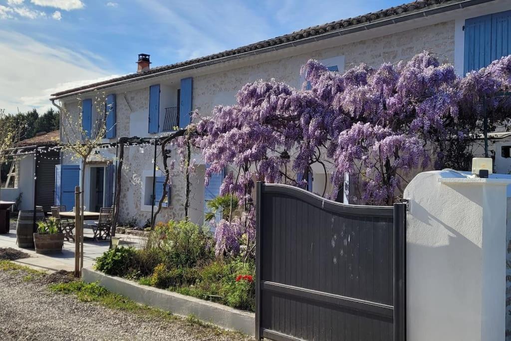 Location Appartement Dans Mas Provencal Monteux Exterior photo